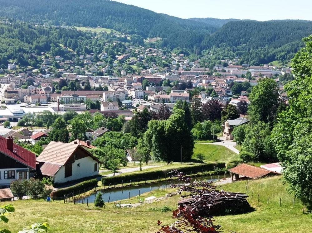 Chalet De Standing 14 Personnes Gérardmer Exteriör bild